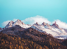 世界杯赛程-国安蔚山交锋史：4战全败 金信煜2破御林军城门